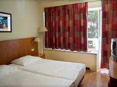 Zimmerbild 11