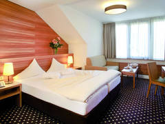Zimmerbild 29