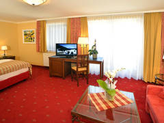 Zimmerbild 14
