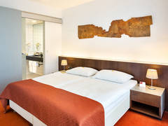 Zimmerbild 45