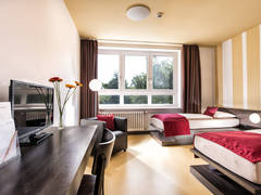 Zimmerbild 27