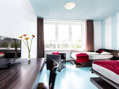 Zimmerbild 40