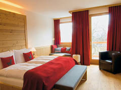 Zimmerbild 10