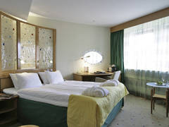 Zimmerbild 26