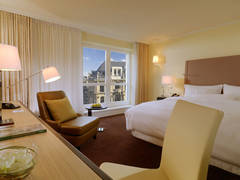 Zimmerbild 11