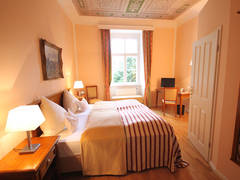 Zimmerbild 6