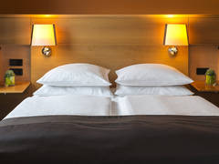 Zimmerbild 11