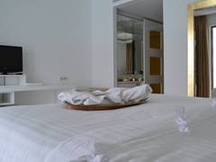 Zimmerbild 102