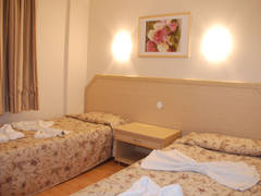 Zimmerbild 17