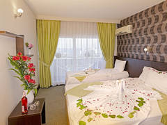 Zimmerbild 10