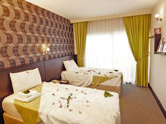 Zimmerbild 9