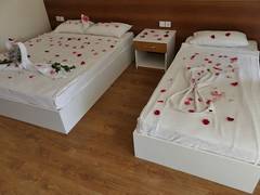 Zimmerbild 17