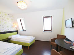 Zimmerbild 37