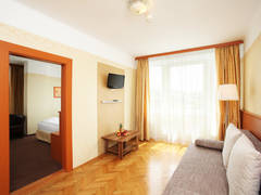 Zimmerbild 36