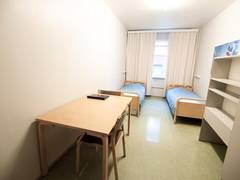 Zimmerbild 31