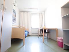 Zimmerbild 28