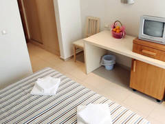Zimmerbild 10