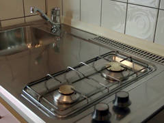 Zimmerbild 66