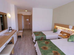 Zimmerbild 23
