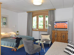 Zimmerbild 2