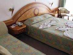 Zimmerbild 13
