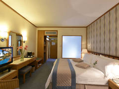 Zimmerbild 29