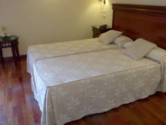 Zimmerbild 11