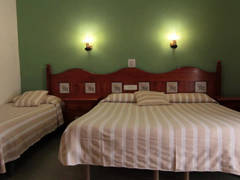 Zimmerbild 14