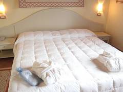 Zimmerbild 47