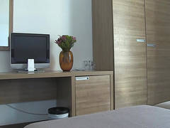 Zimmerbild 27