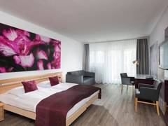 Zimmerbild 33