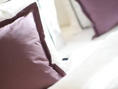 Zimmerbild 13