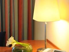 Zimmerbild 22