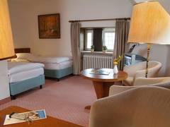Zimmerbild 8