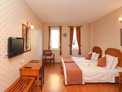 Zimmerbild 16