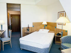 Zimmerbild 21