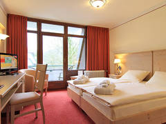 Zimmerbild 19