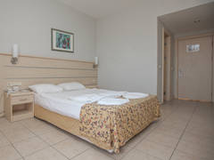 Zimmerbild 10