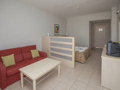 Zimmerbild 8