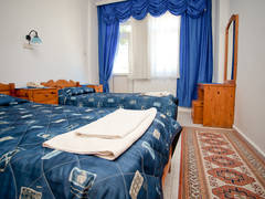 Zimmerbild 7