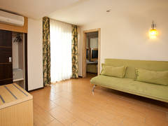 Zimmerbild 13