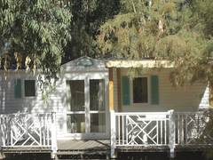 Zimmerbild 11