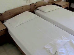 Zimmerbild 33