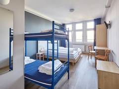Zimmerbild 46