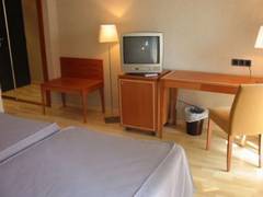Zimmerbild 8