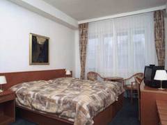 Zimmerbild 11