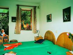 Zimmerbild 11
