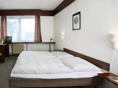 Zimmerbild 20