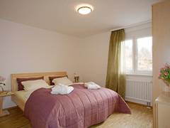 Zimmerbild 13