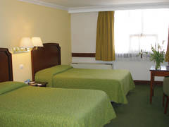 Zimmerbild 9